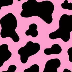 Meet your Posher, Rhylee